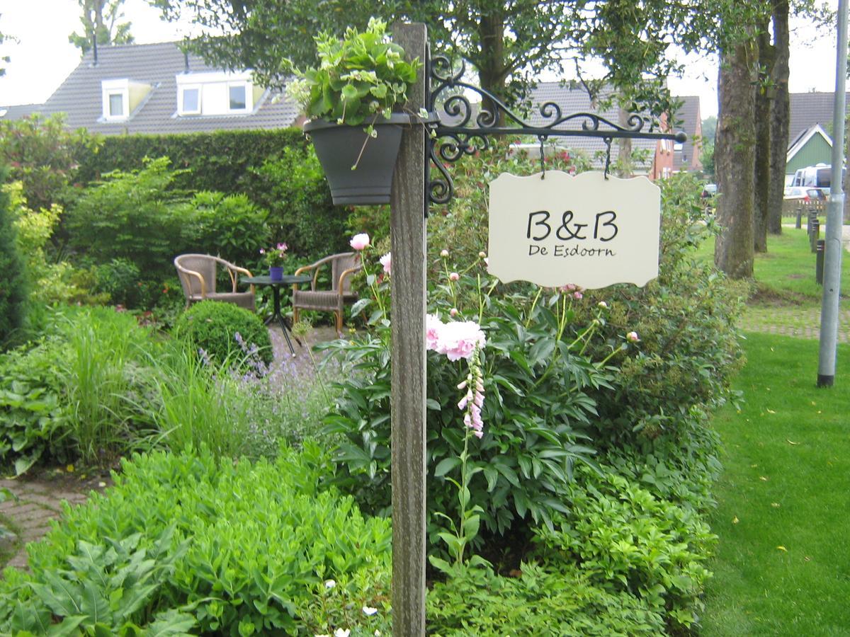 De Esdoorn *